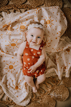 Studio Storytelling Wildwood Photography, Ballarat