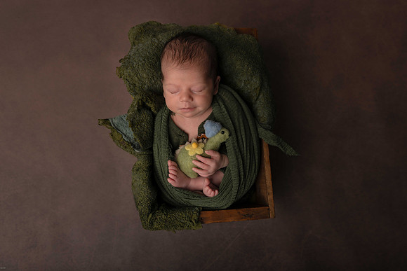 Ballarat Newborn and Maternity photography, Wildwood Photography