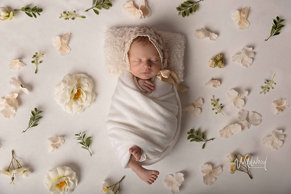 Ballarat Newborn and Maternity photography, Wildwood Photography
