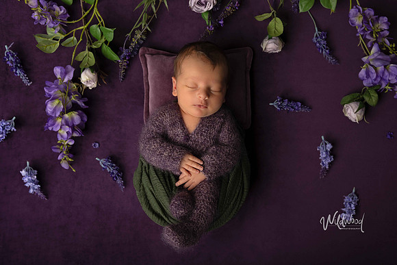 Ballarat Newborn and Maternity photography, Wildwood Photography