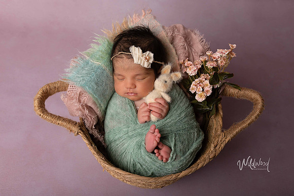 Ballarat Newborn and Maternity photography, Wildwood Photography