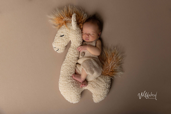 Ballarat Newborn and Maternity photography, Wildwood Photography