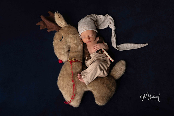 Ballarat Newborn and Maternity photography, Wildwood Photography