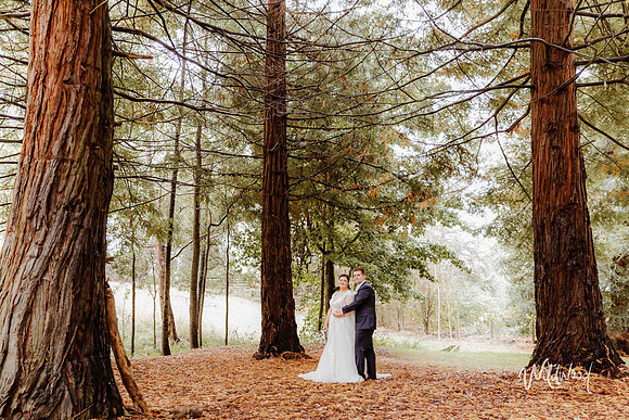 Ballarat Wedding & Elopement photography, Wildwood Photography