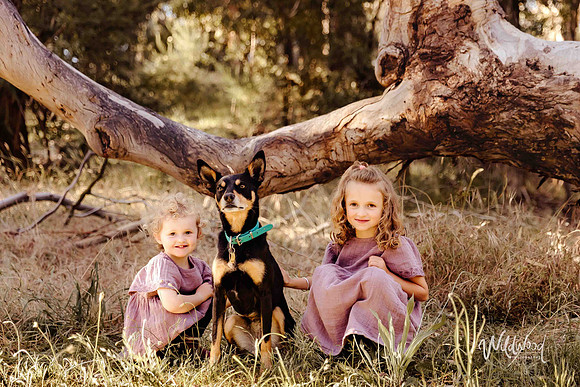 Ballarat outdoor family photography, Storytelling sessions, Wildwood Photography