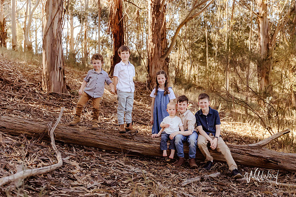Ballarat outdoor family photography, Storytelling sessions, Wildwood Photography