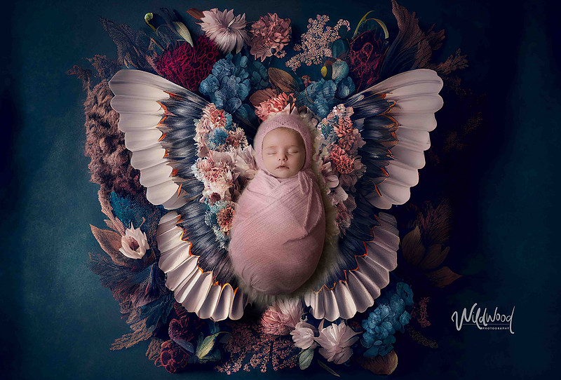 Newborn and Maternity - Wildwood Photography, Ballarat Newborn and Maternity
