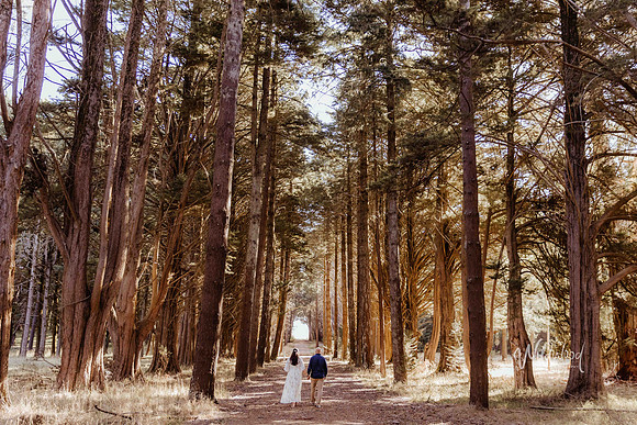 Ballarat Wedding & Elopement photography, Wildwood Photography