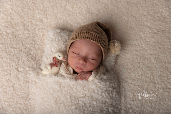 Ballarat Newborn and Maternity photography, Wildwood Photography