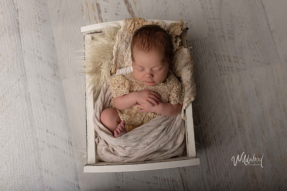 Ballarat Newborn and Maternity photography, Wildwood Photography