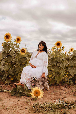 Ballarat Newborn and Maternity photography, Wildwood Photography