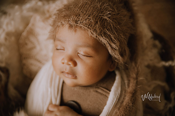 Studio Storytelling Wildwood Photography, Ballarat