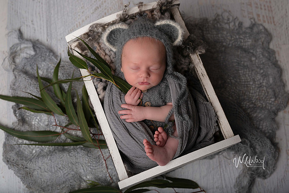 Ballarat Newborn and Maternity photography, Wildwood Photography