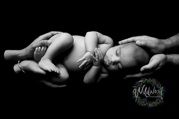 Ballarat Newborn and Maternity photography, Wildwood Photography