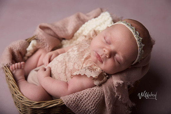 Ballarat Newborn and Maternity photography, Wildwood Photography