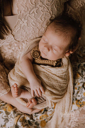 Studio Storytelling Wildwood Photography, Ballarat