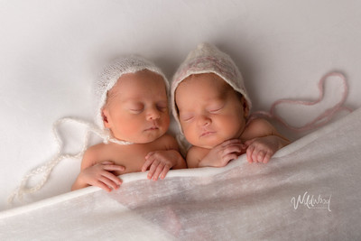 Ballarat Newborn and Maternity photography, Wildwood Photography