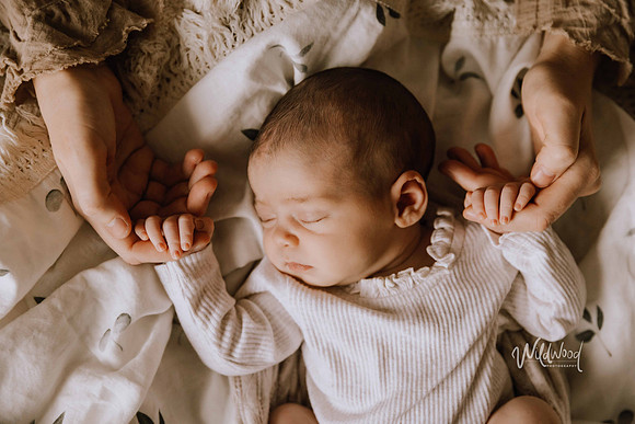 Studio Storytelling Wildwood Photography, Ballarat