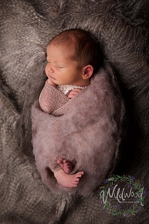Ballarat Newborn and Maternity photography, Wildwood Photography