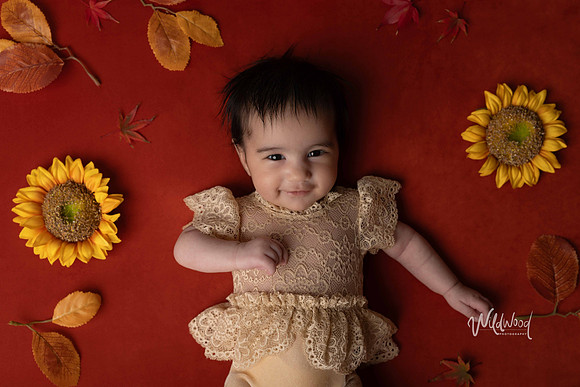 Ballarat Newborn and Maternity photography, Wildwood Photography