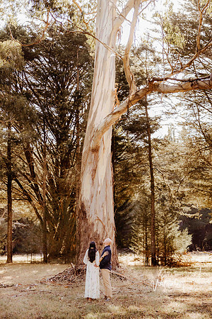 Ballarat Wedding & Elopement photography, Wildwood Photography