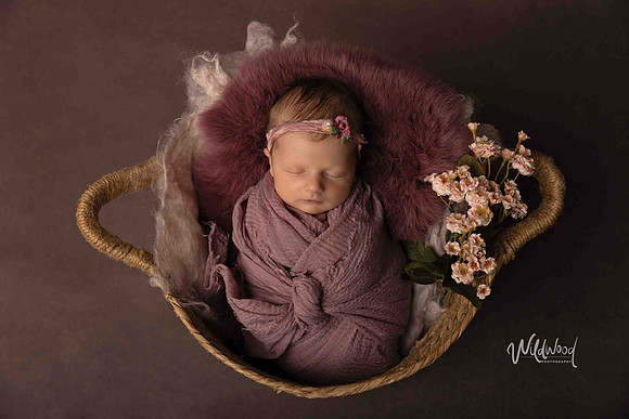 Ballarat Newborn and Maternity photography, Wildwood Photography