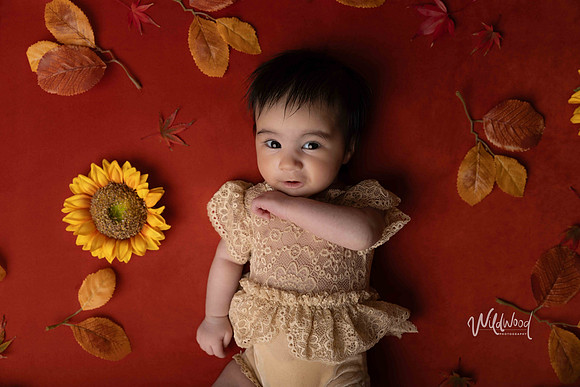 Ballarat Newborn and Maternity photography, Wildwood Photography