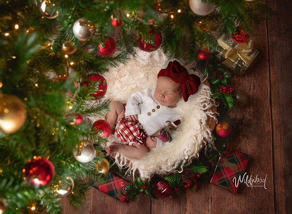 Ballarat Newborn and Maternity photography, Wildwood Photography