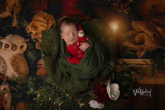 Ballarat Newborn and Maternity photography, Wildwood Photography