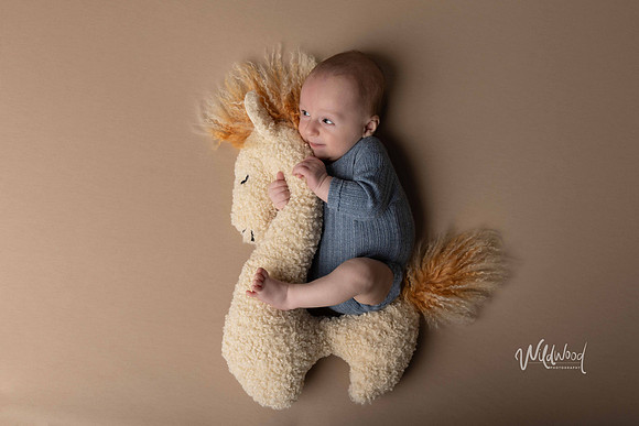 Ballarat Newborn and Maternity photography, Wildwood Photography