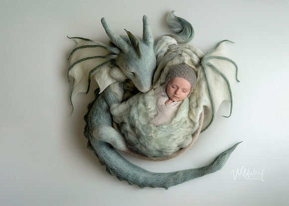 Ballarat Newborn and Maternity photography, Wildwood Photography