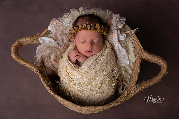 Ballarat Newborn and Maternity photography, Wildwood Photography
