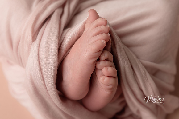Ballarat Newborn and Maternity photography, Wildwood Photography