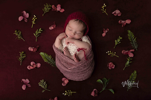 Ballarat Newborn and Maternity photography, Wildwood Photography