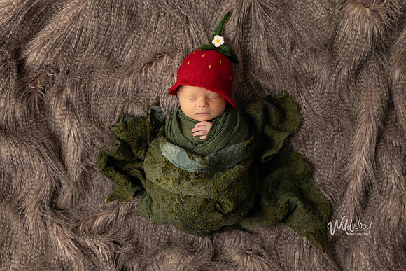 Ballarat Newborn and Maternity photography, Wildwood Photography