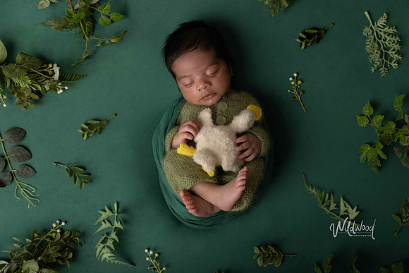 Ballarat Newborn and Maternity photography, Wildwood Photography
