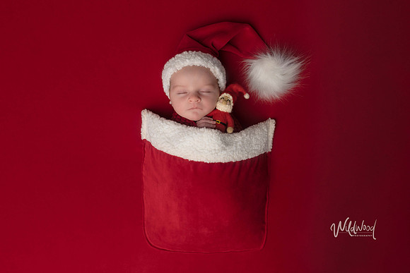 Ballarat Newborn and Maternity photography, Wildwood Photography
