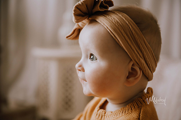 Studio Storytelling Wildwood Photography, Ballarat