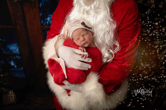 Ballarat Newborn and Maternity photography, Wildwood Photography