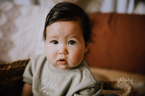 Studio Storytelling Wildwood Photography, Ballarat